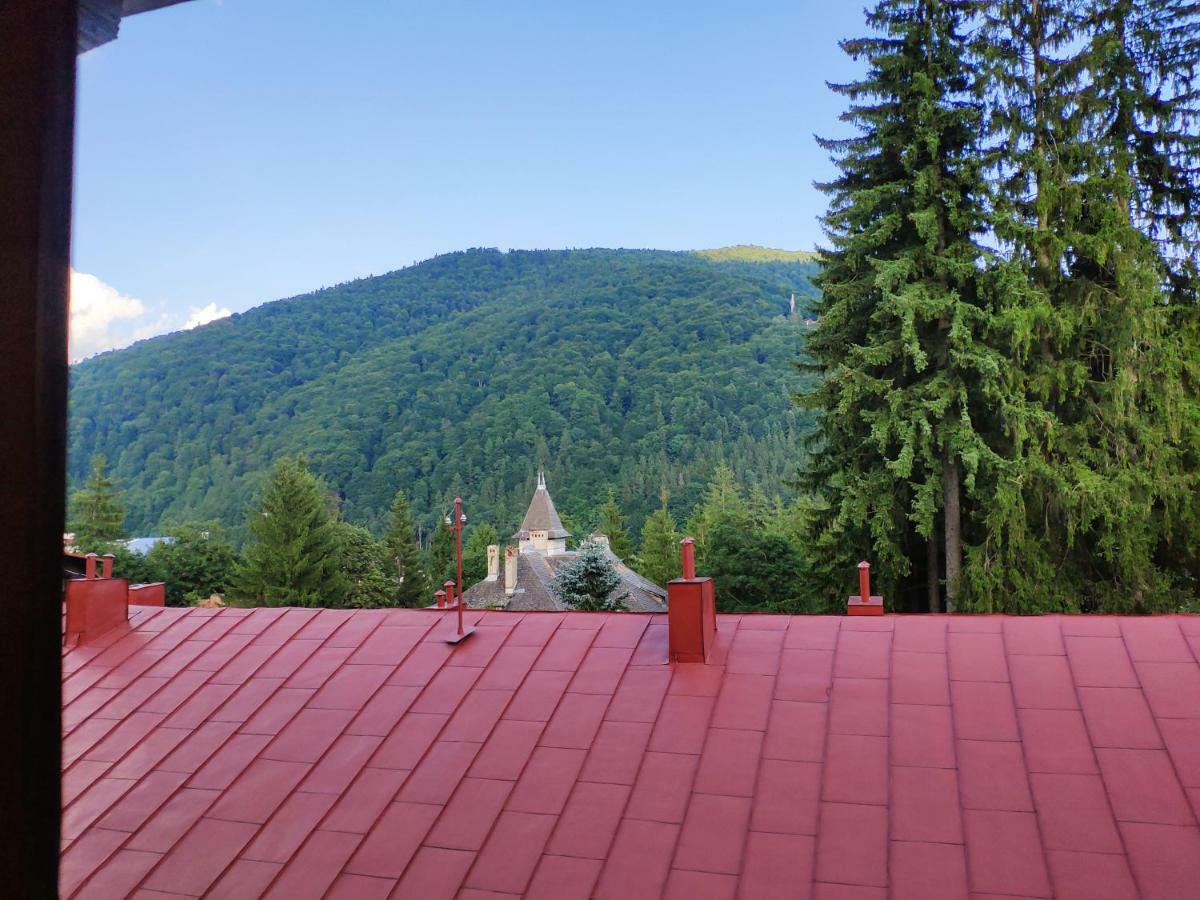 Cozy Loft At Teleferic Apartment Sinaia Luaran gambar