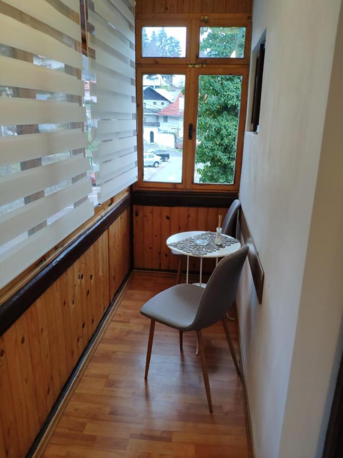 Cozy Loft At Teleferic Apartment Sinaia Luaran gambar