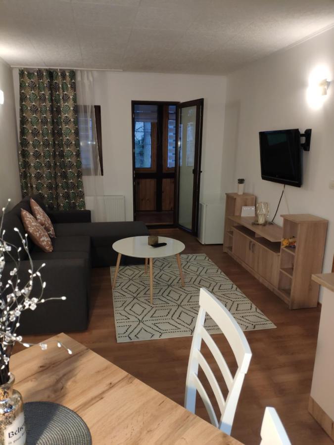 Cozy Loft At Teleferic Apartment Sinaia Luaran gambar